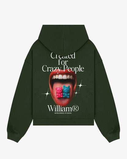 Ticket to fly hoodie